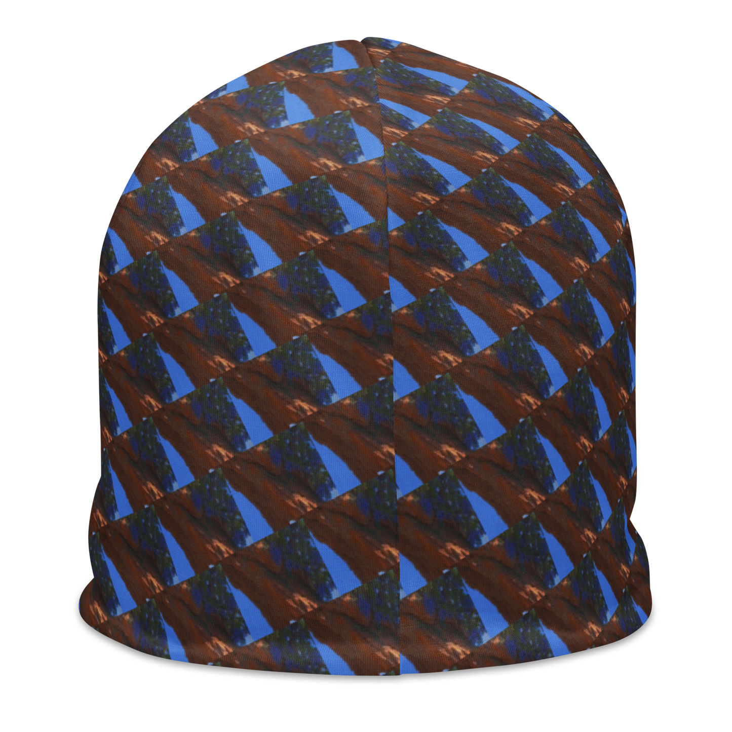 #ARTsDaily Beanie