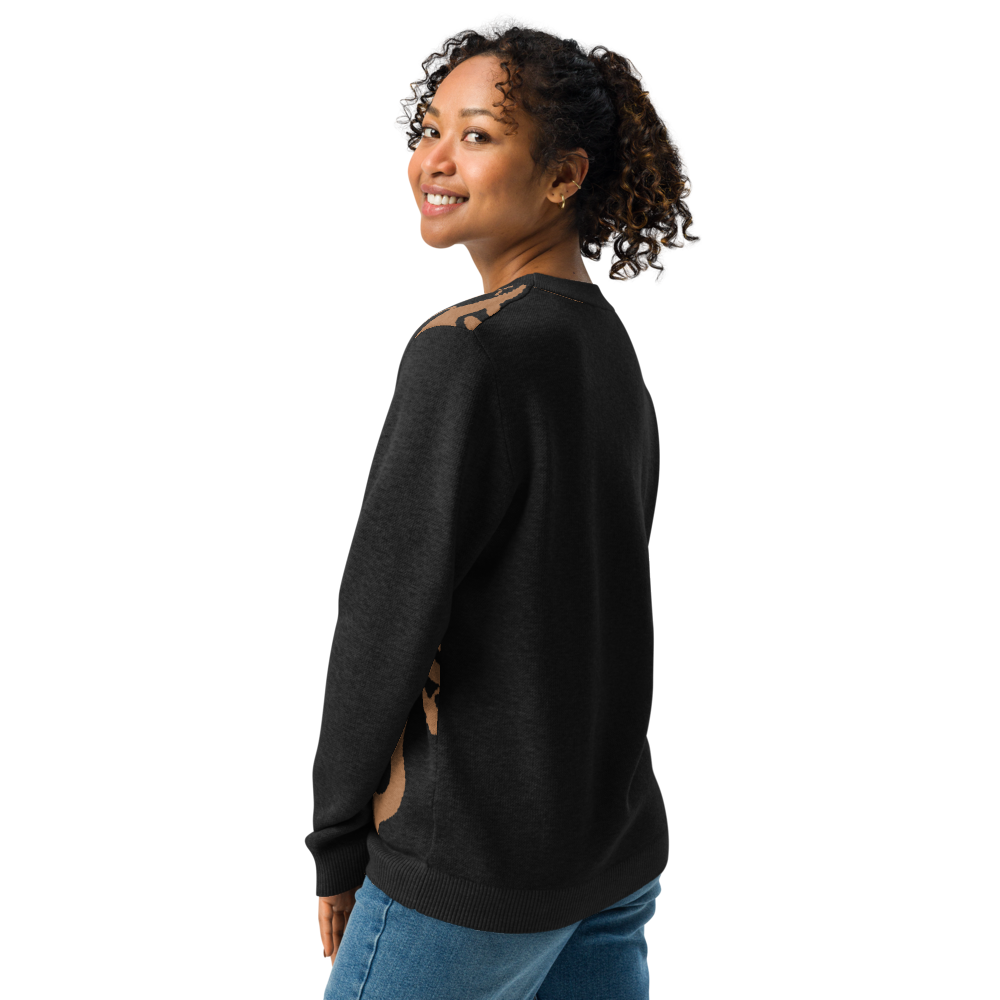 Knitted crew neck sweater