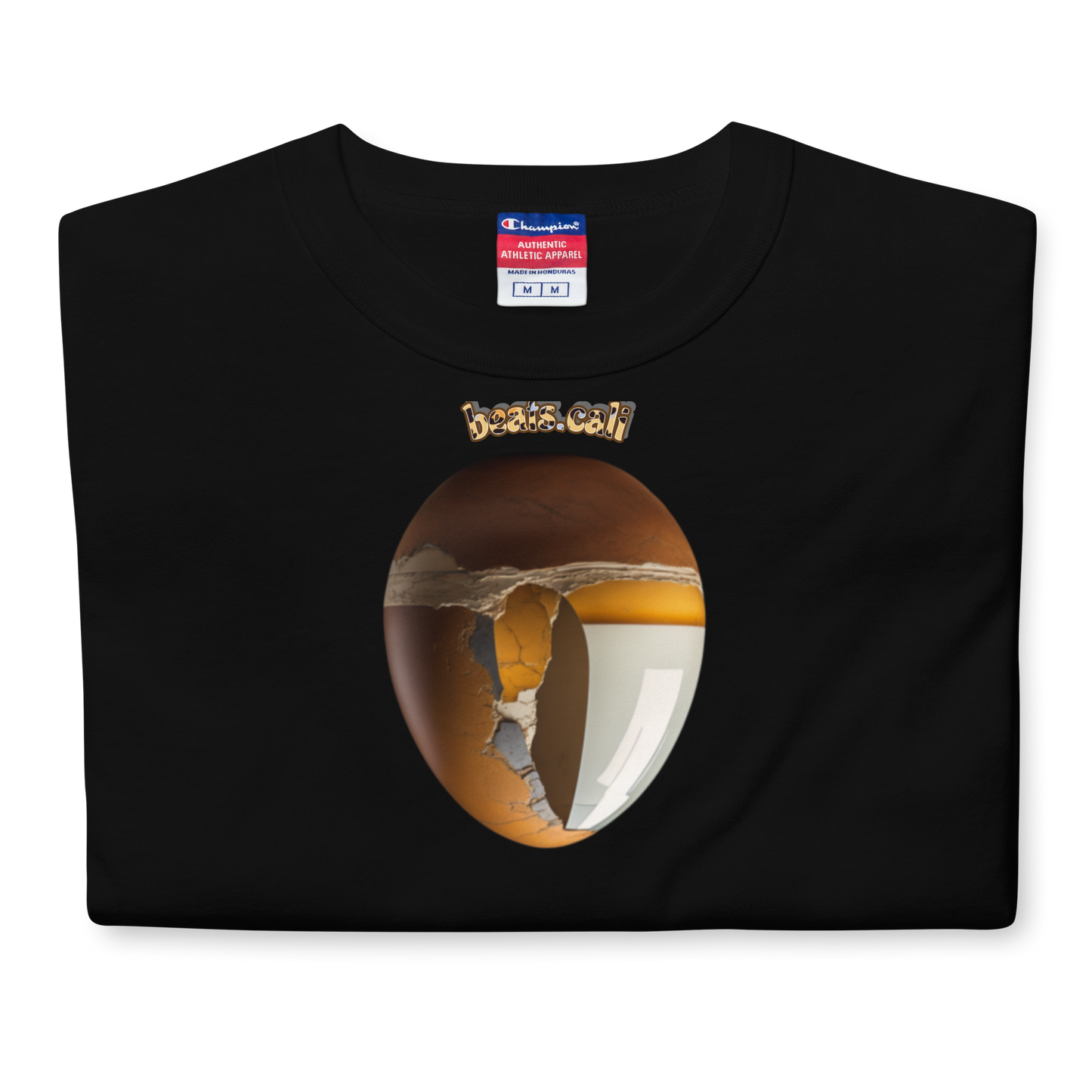 Men's Champion T-Shirt
