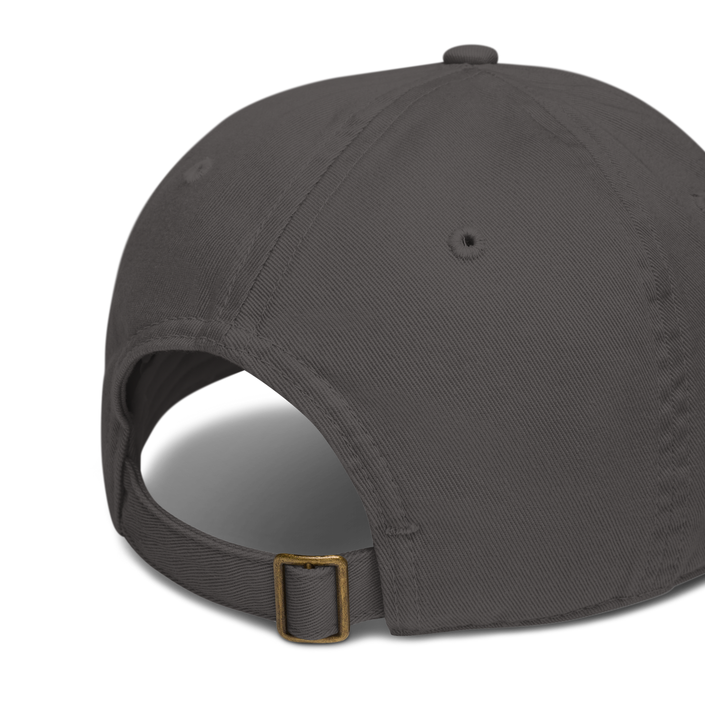 Organic dad hat