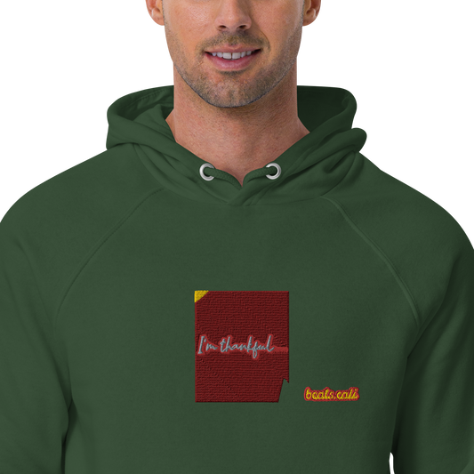 Unisex raglan hoodie