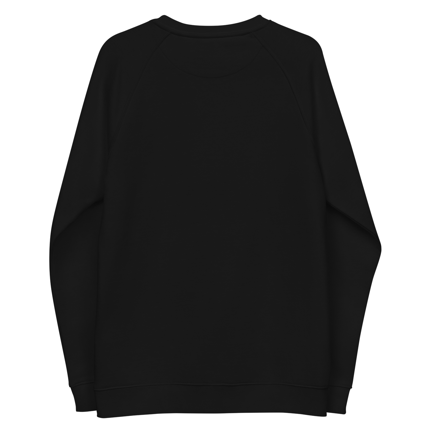 Unisex raglan sweatshirt