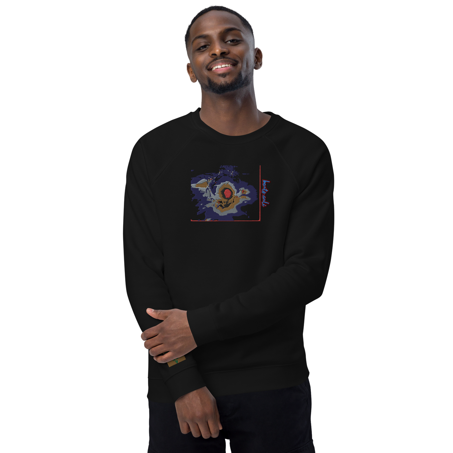 Unisex raglan sweatshirt