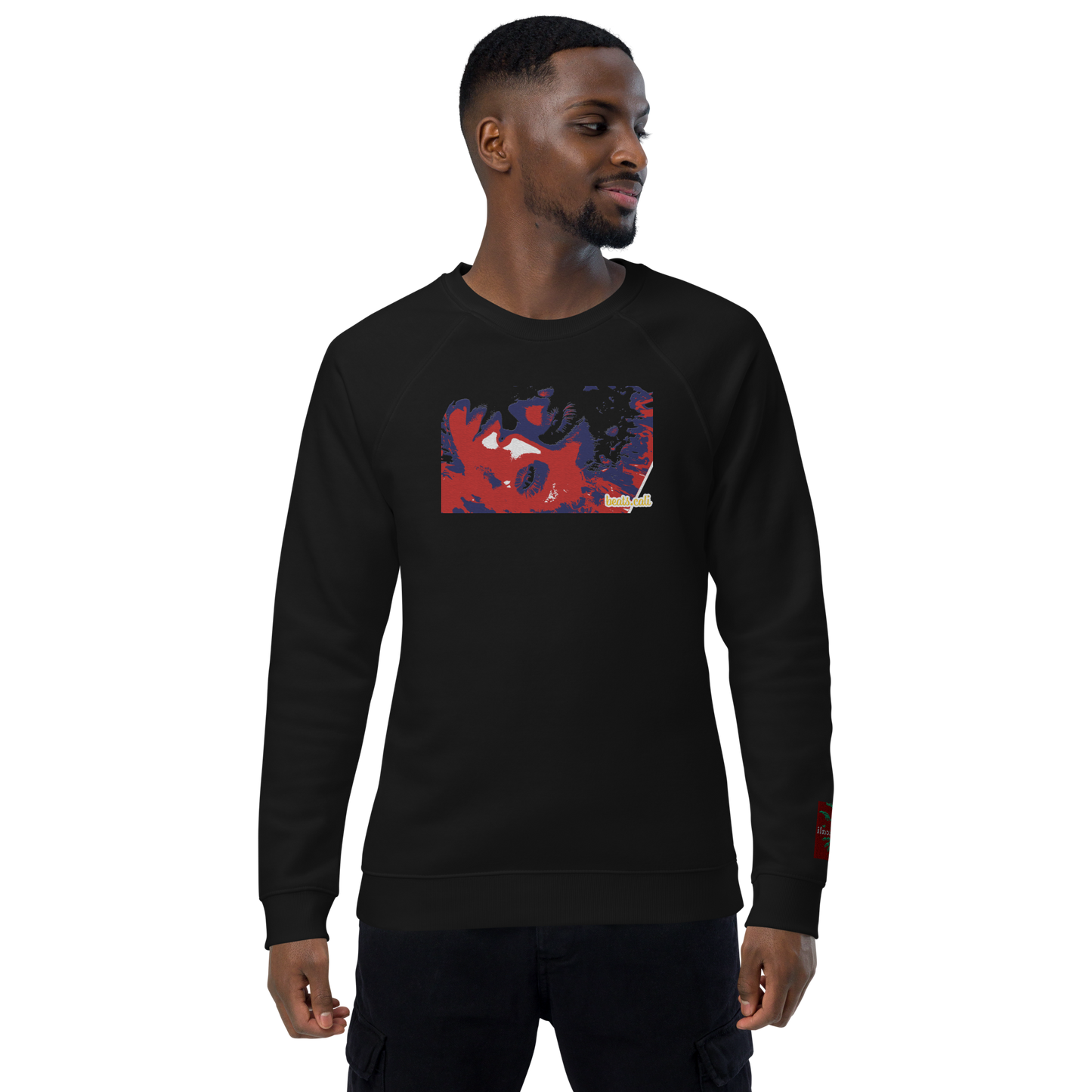 Unisex raglan sweatshirt