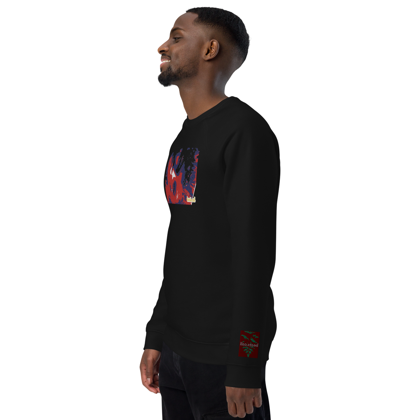 Unisex raglan sweatshirt