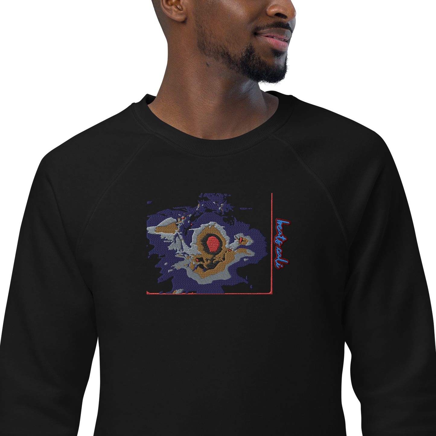 Unisex raglan sweatshirt