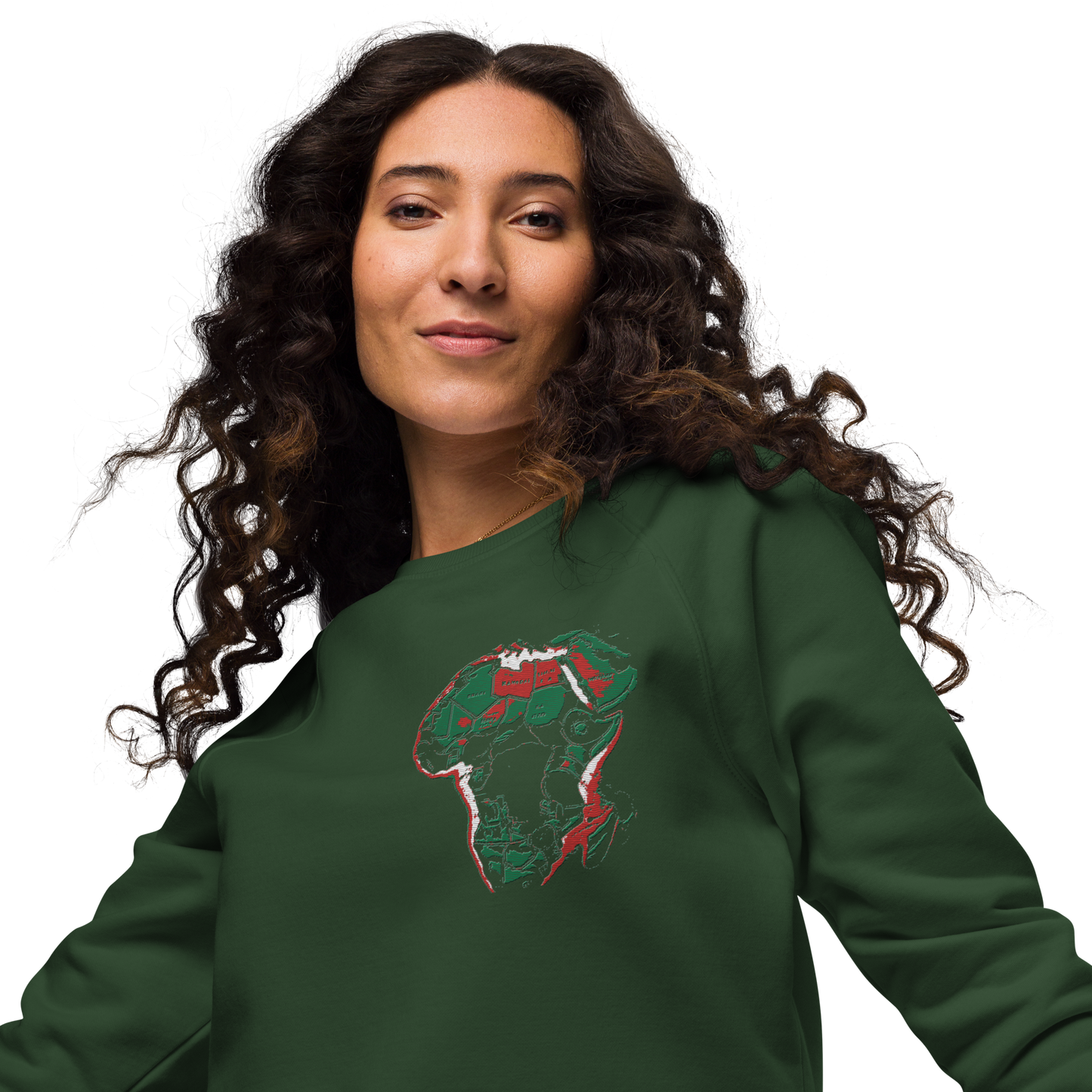 Unisex raglan sweatshirt