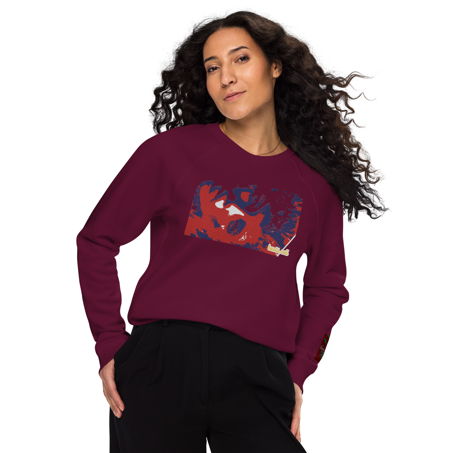 Unisex raglan sweatshirt