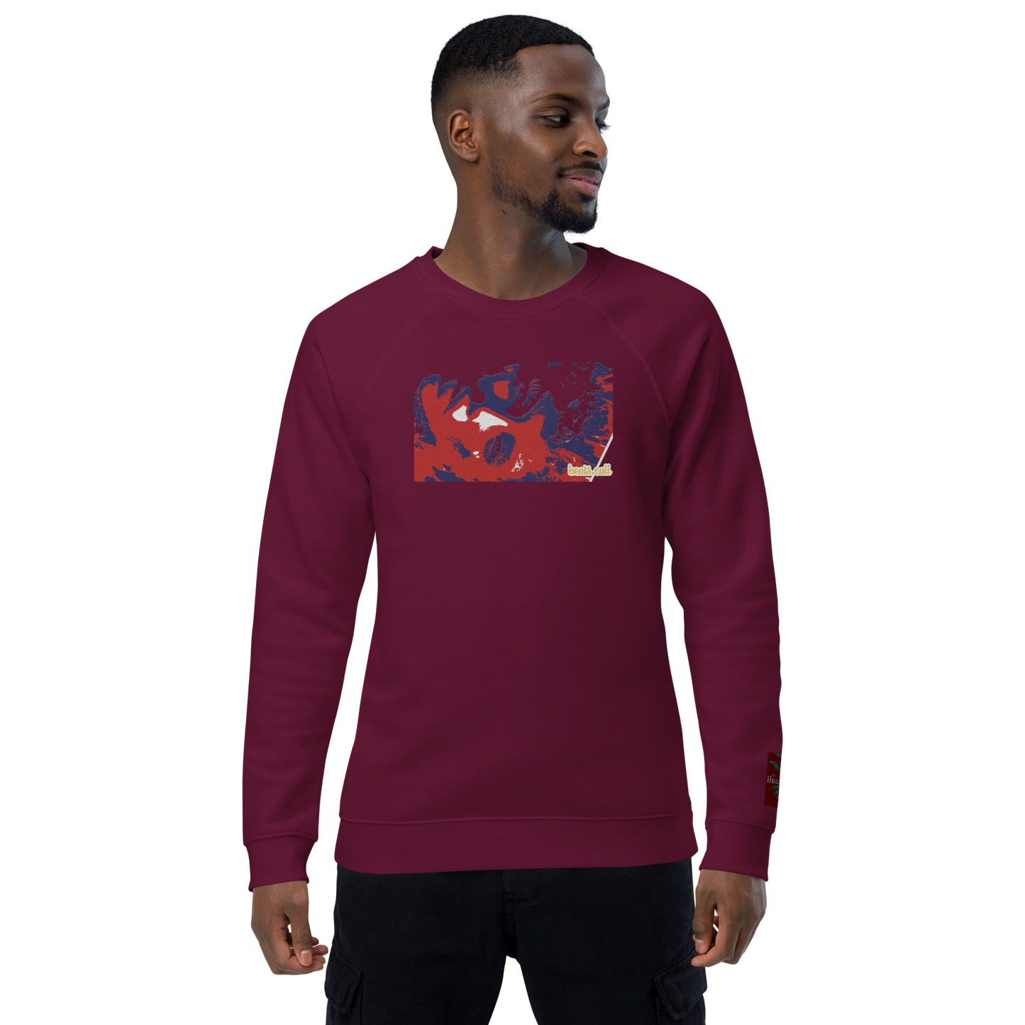 Unisex raglan sweatshirt