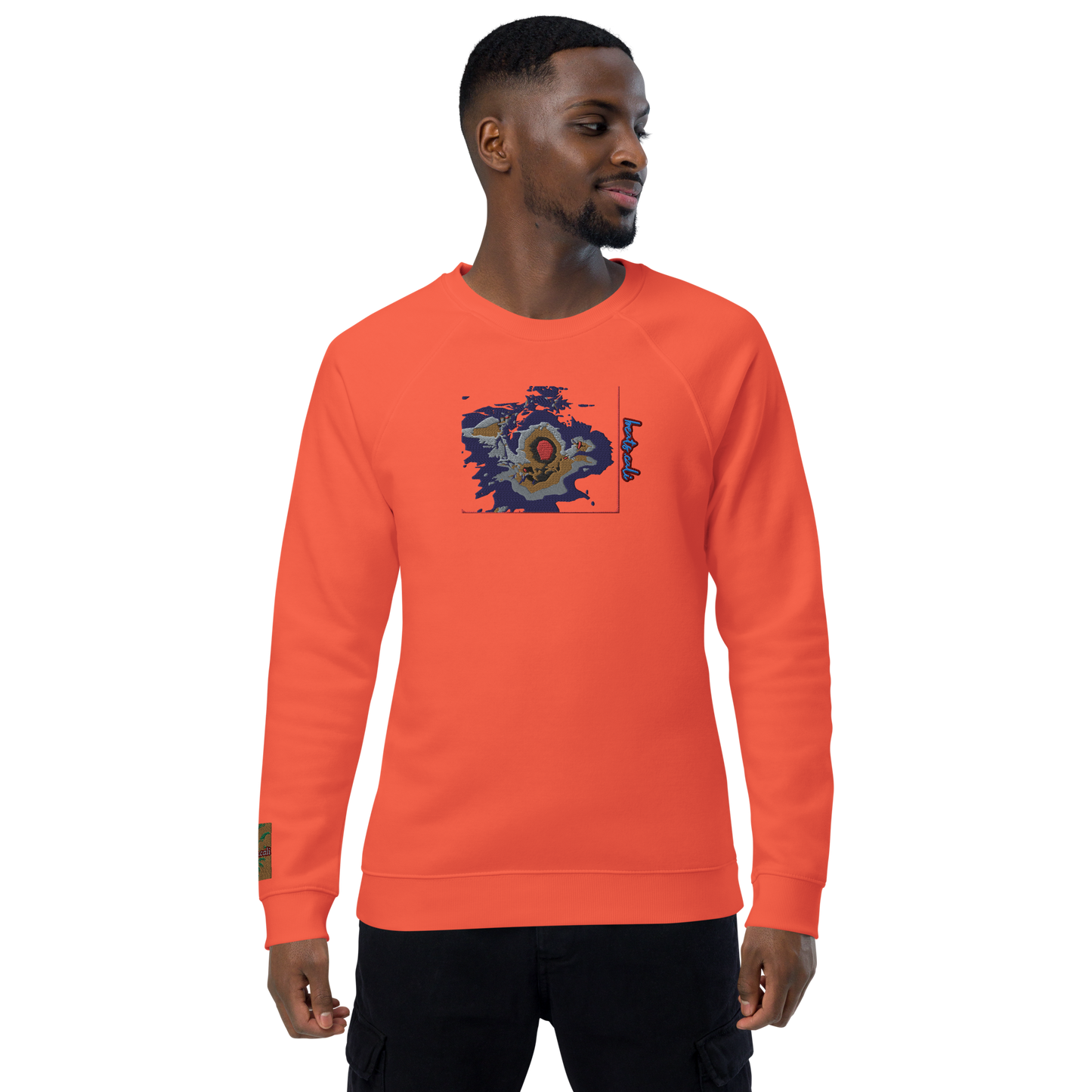 Unisex raglan sweatshirt