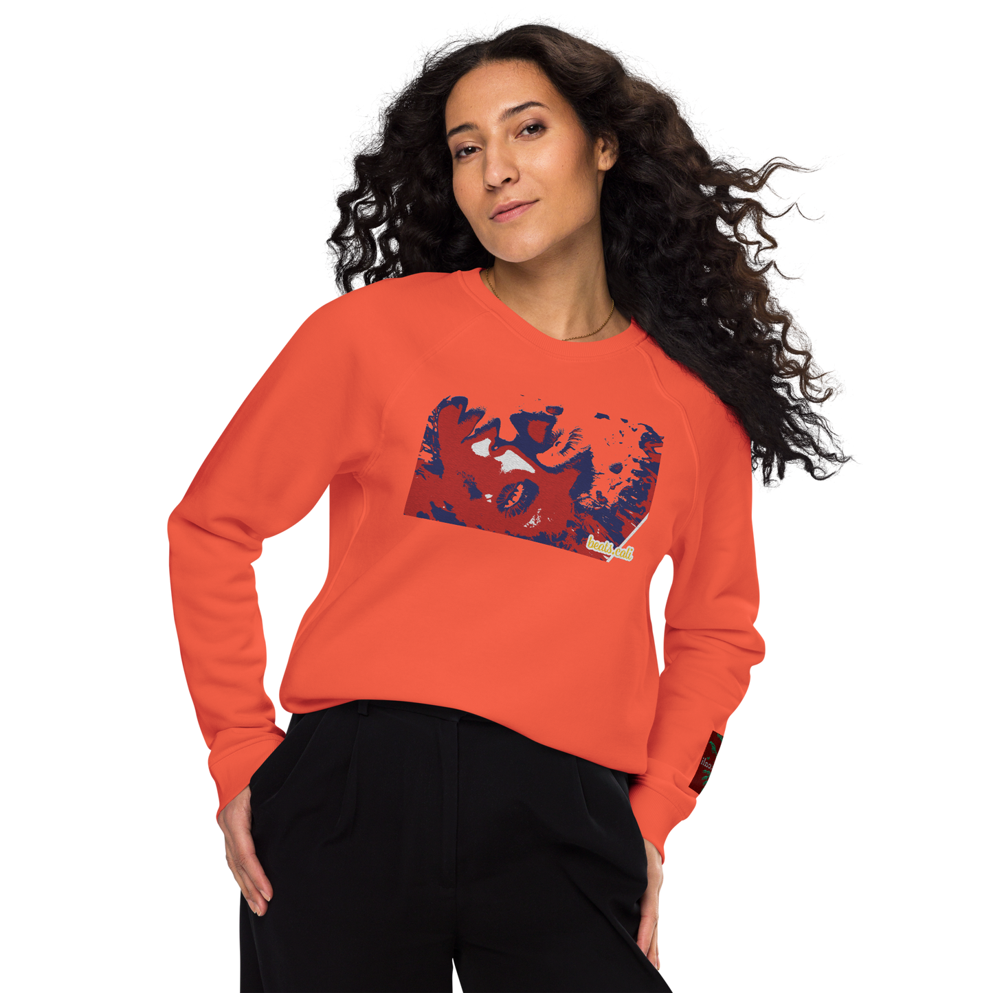 Unisex raglan sweatshirt