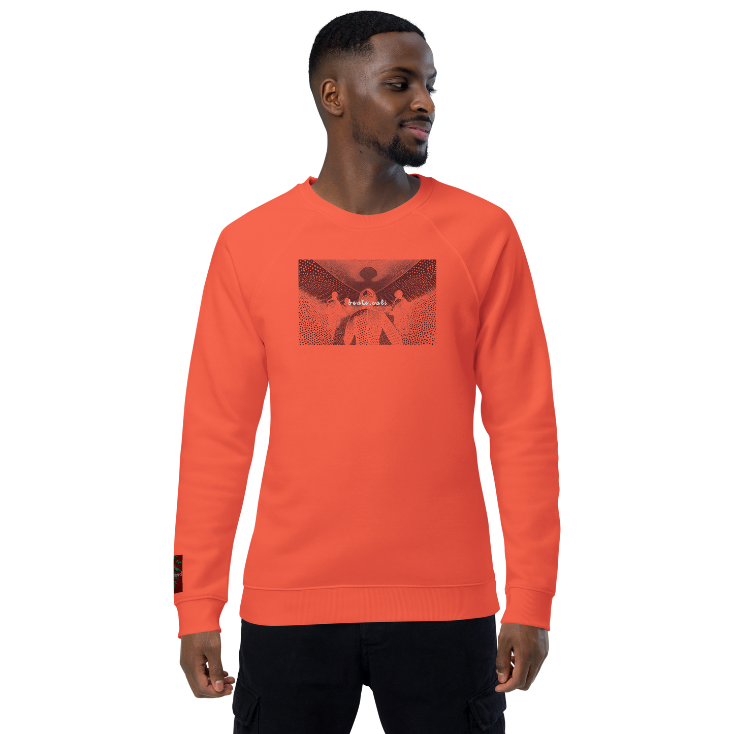 Unisex raglan sweatshirt