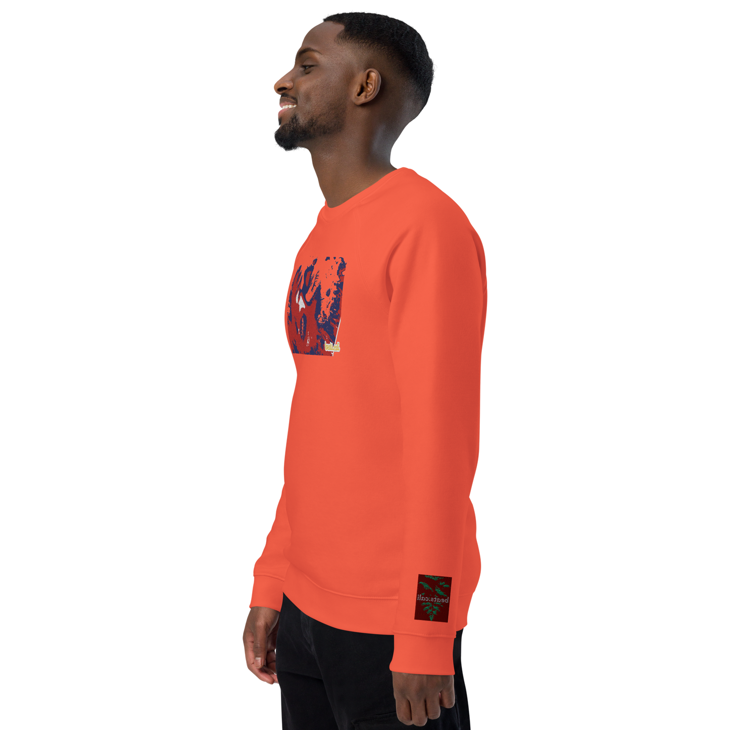Unisex raglan sweatshirt