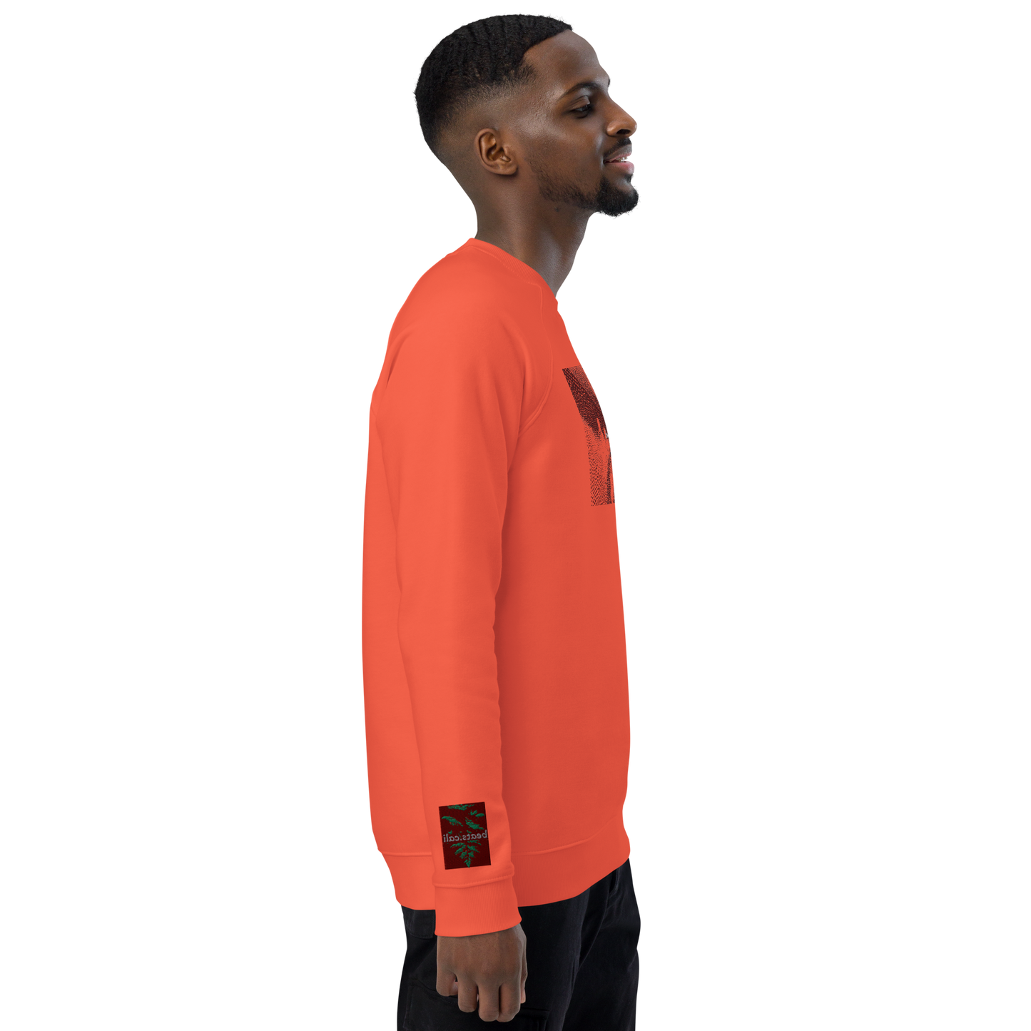 Unisex raglan sweatshirt