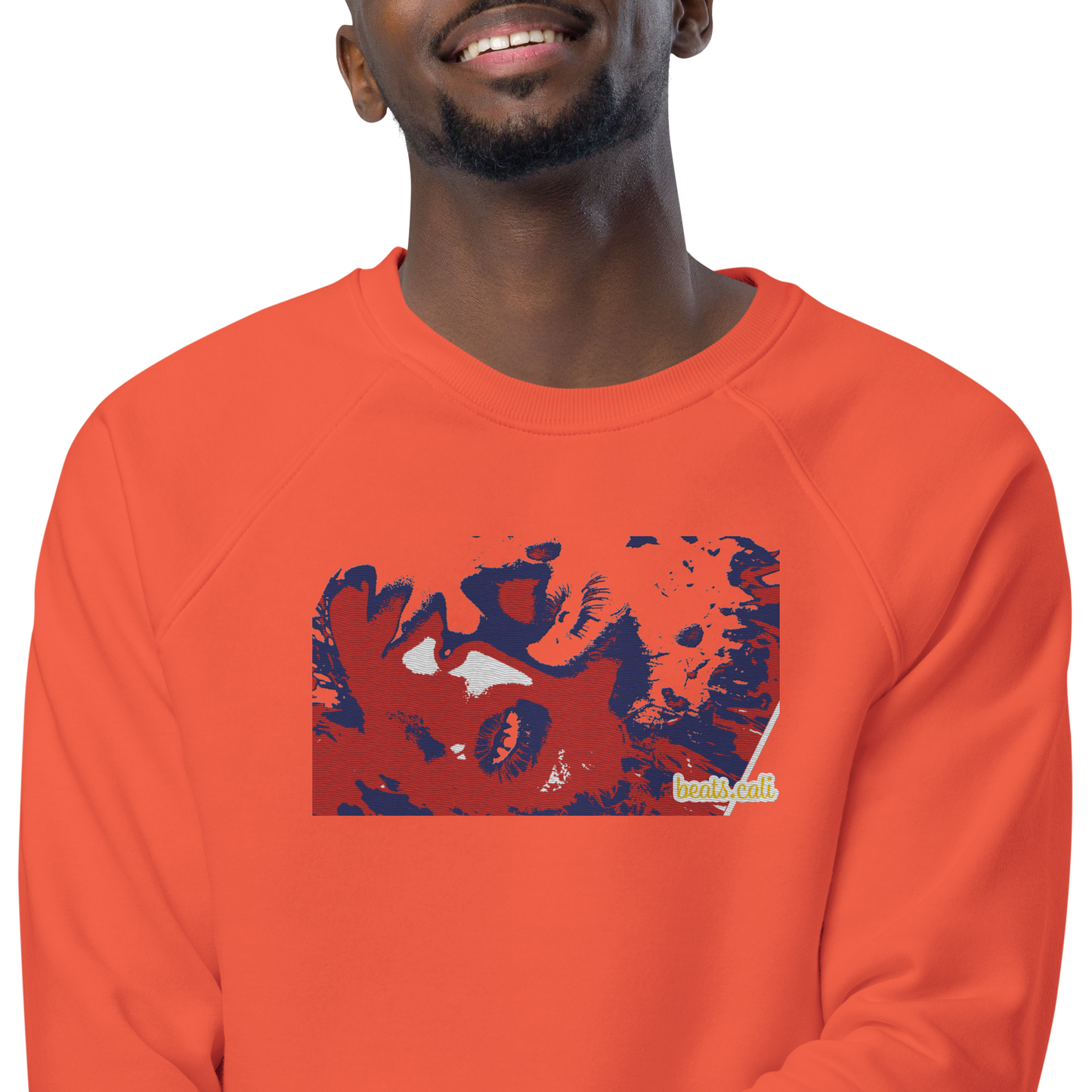 Unisex raglan sweatshirt