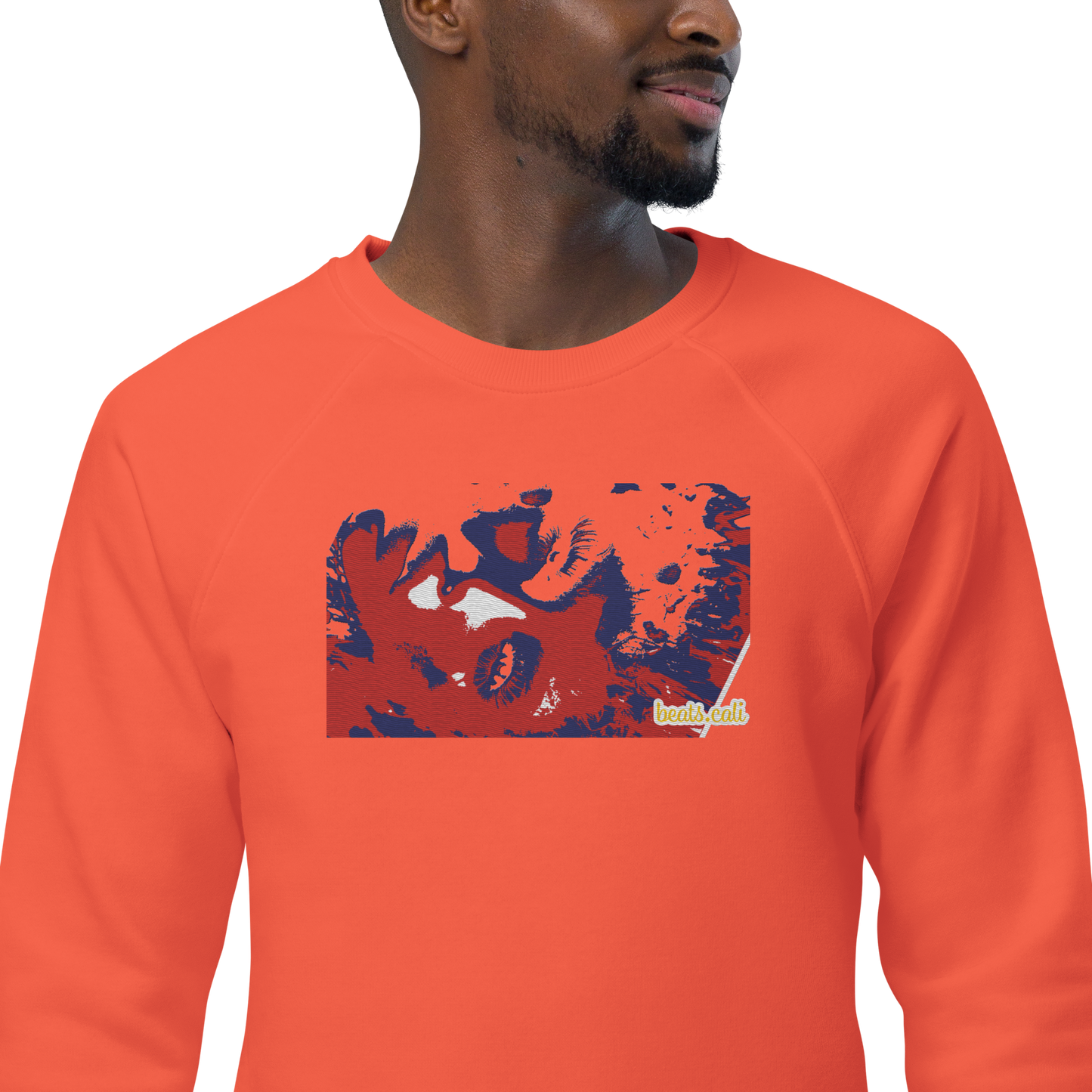 Unisex raglan sweatshirt