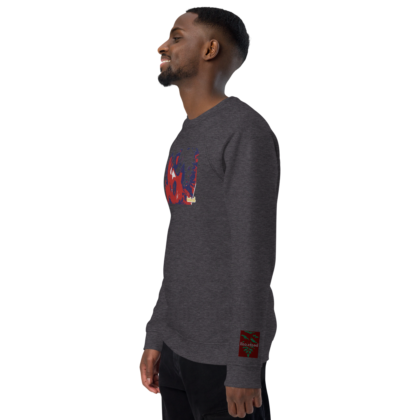 Unisex raglan sweatshirt