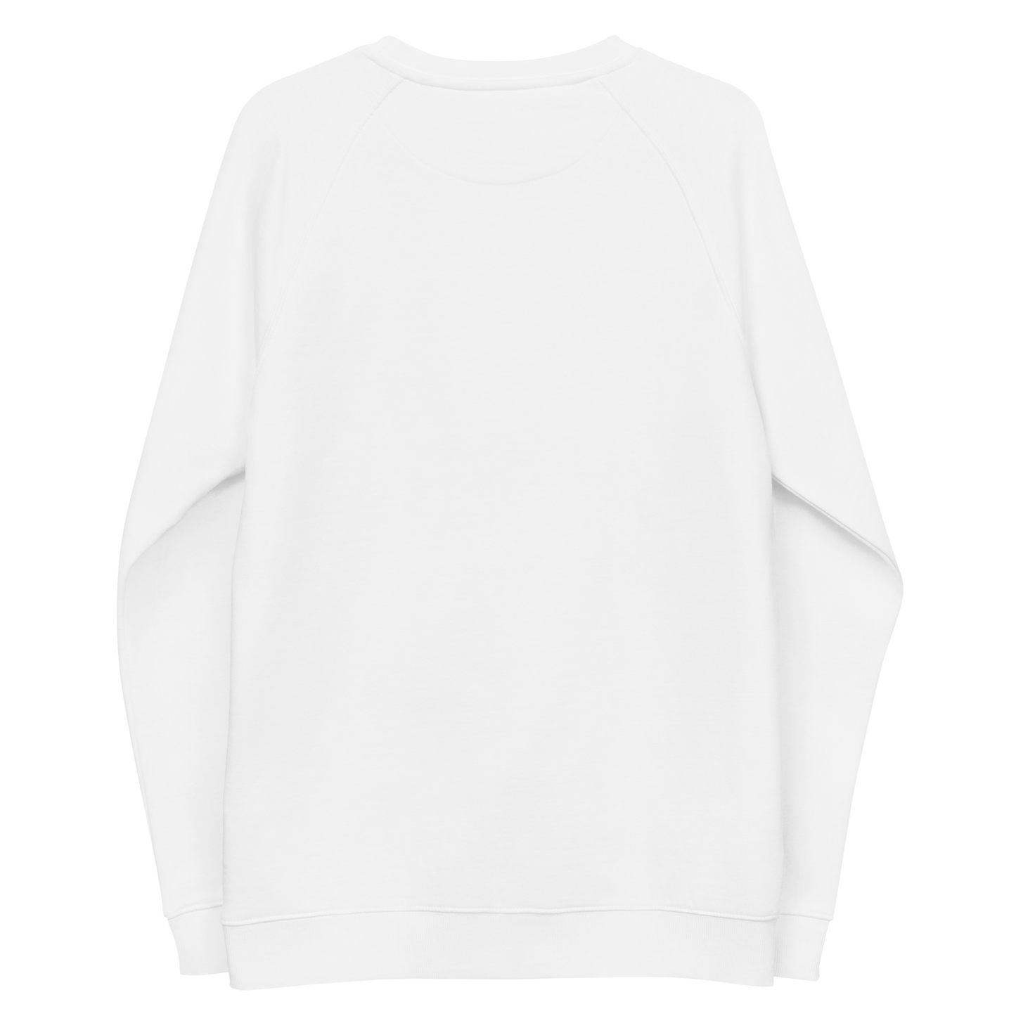Unisex raglan sweatshirt