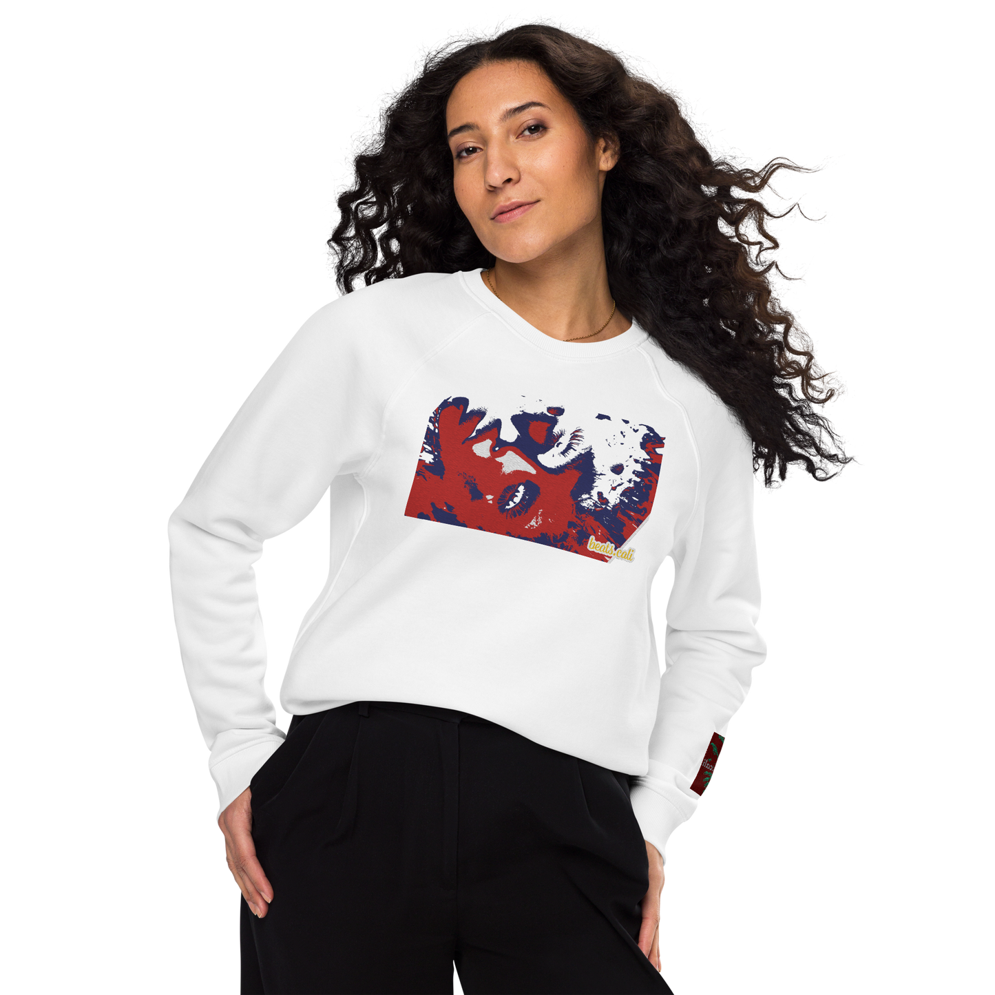 Unisex raglan sweatshirt