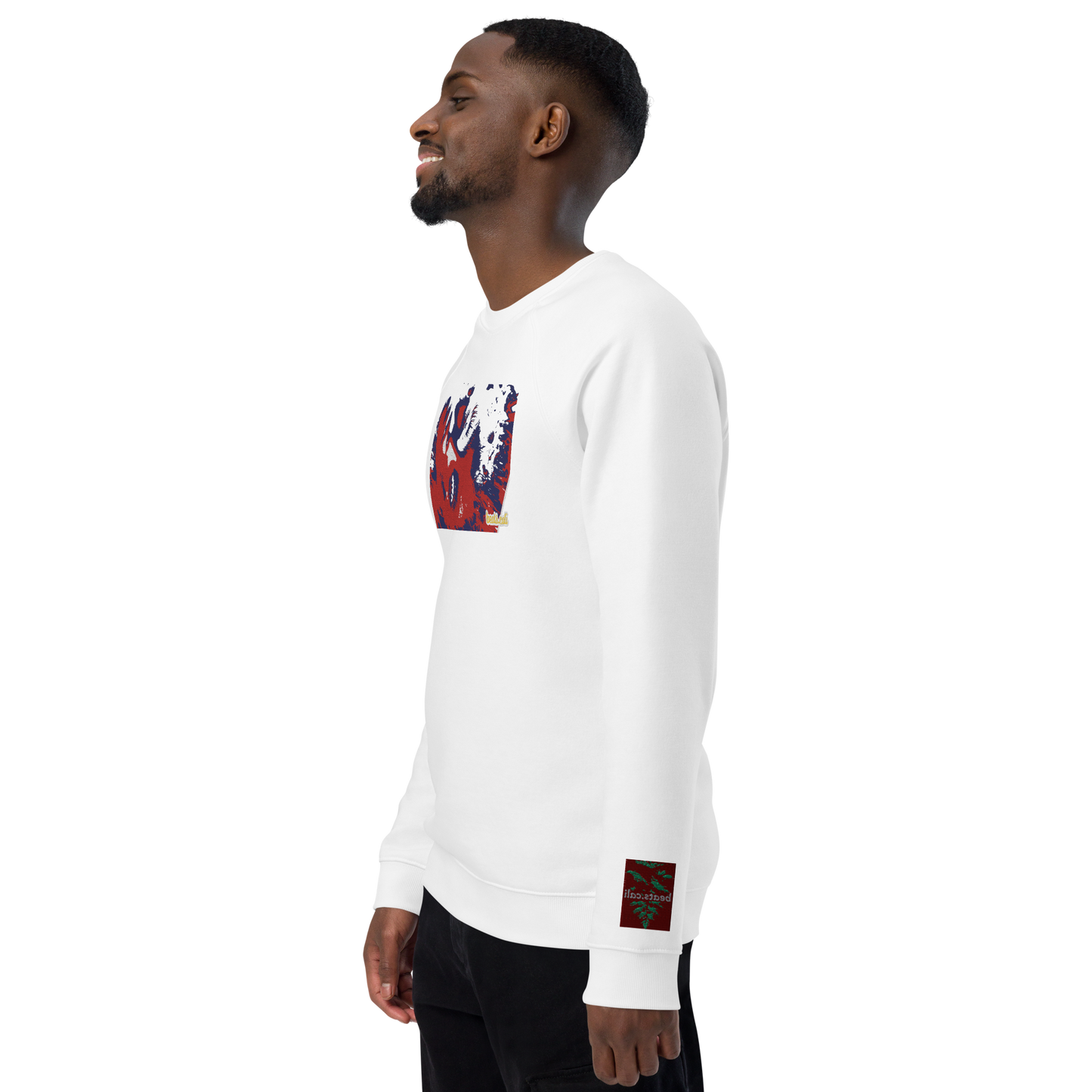 Unisex raglan sweatshirt