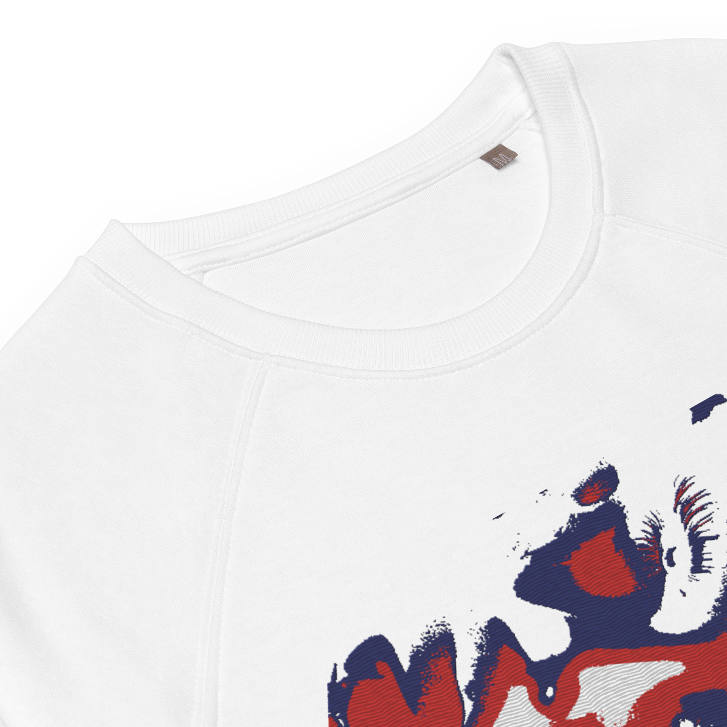 Unisex raglan sweatshirt