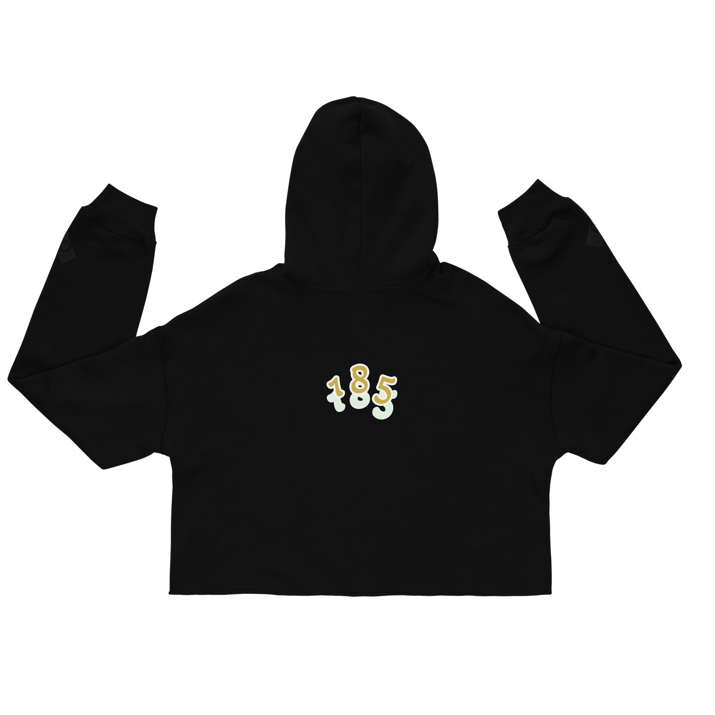 Crop Hoodie