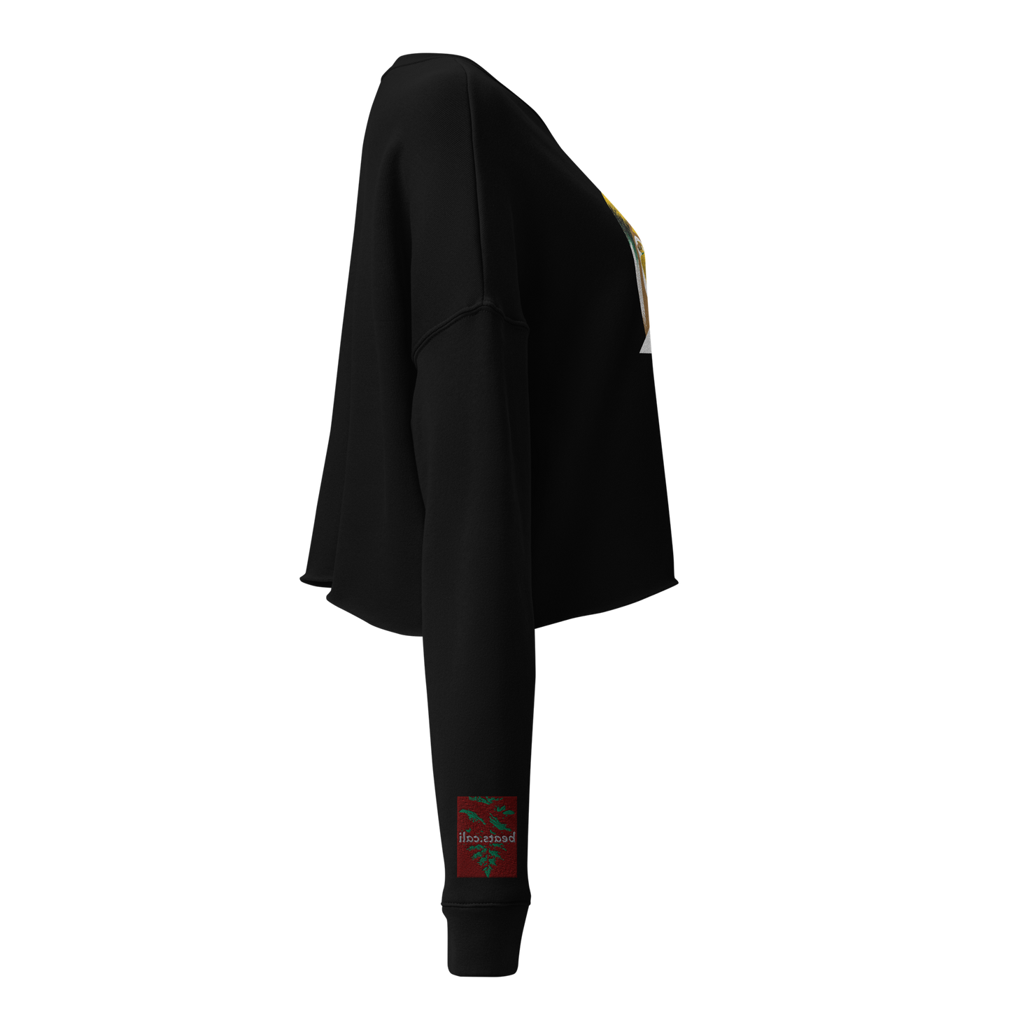 Crop Sweatshirt