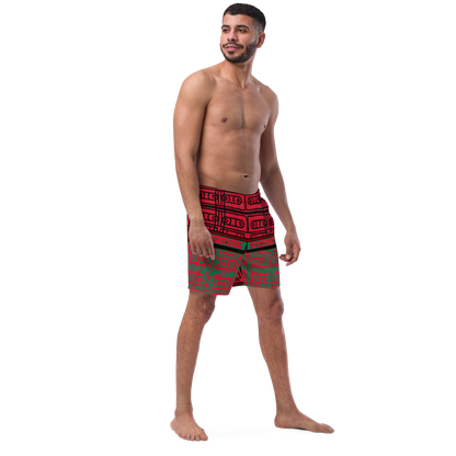 Men's swim trunks