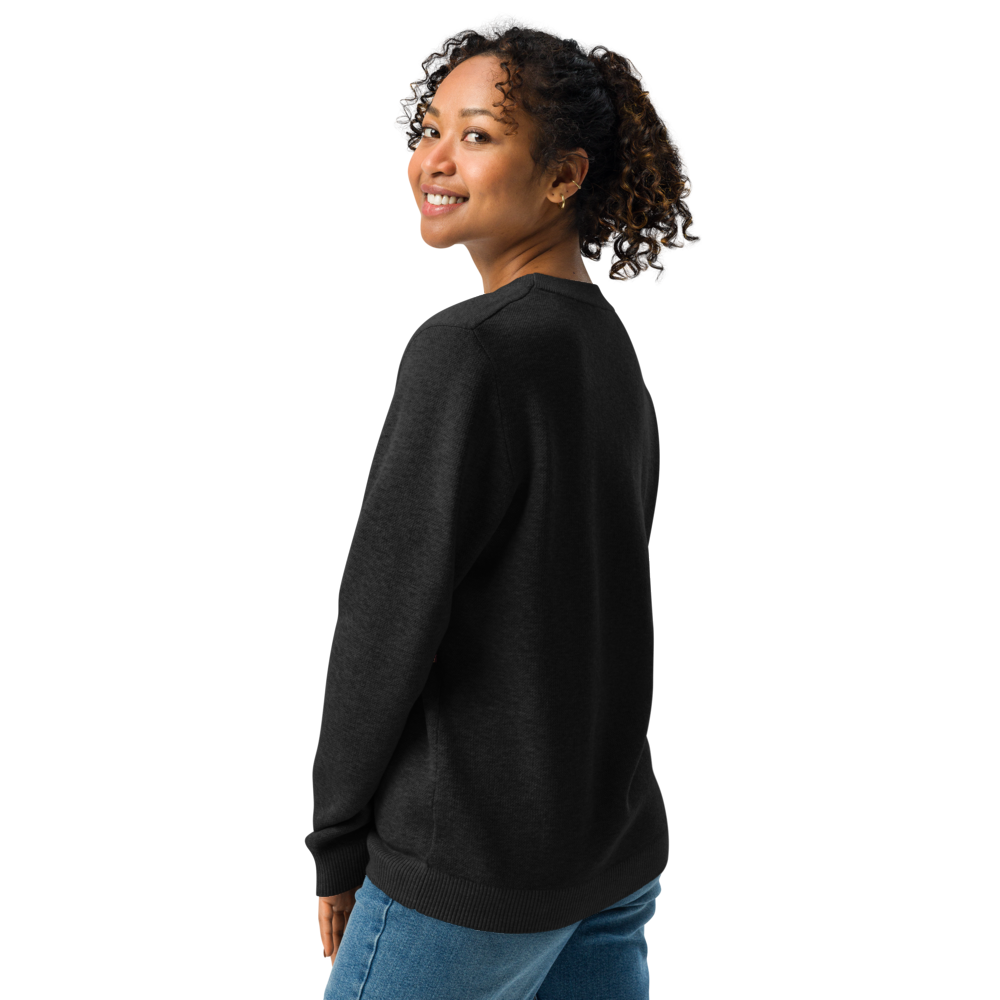 Knitted crew neck sweater