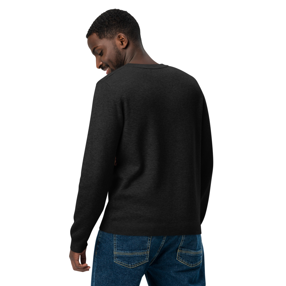 Knitted crew neck sweater