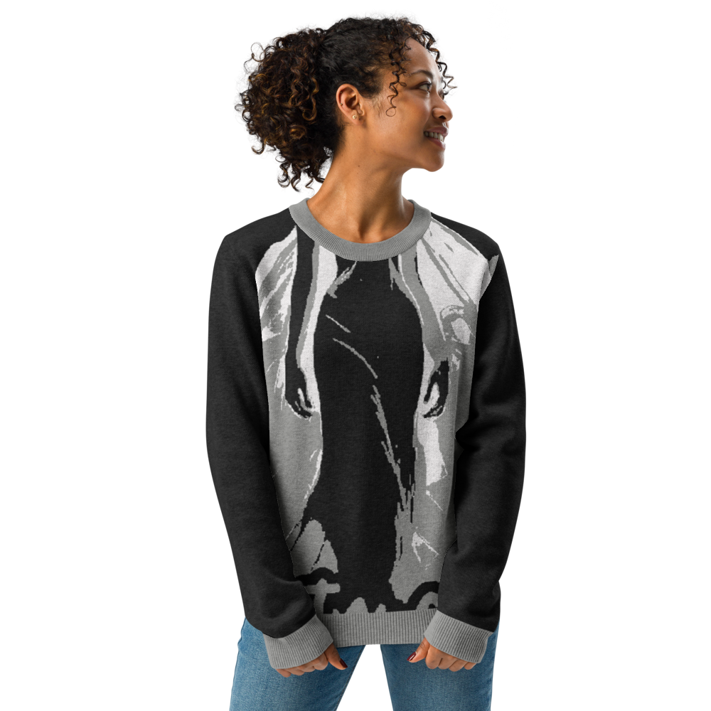 Knitted crew neck sweater