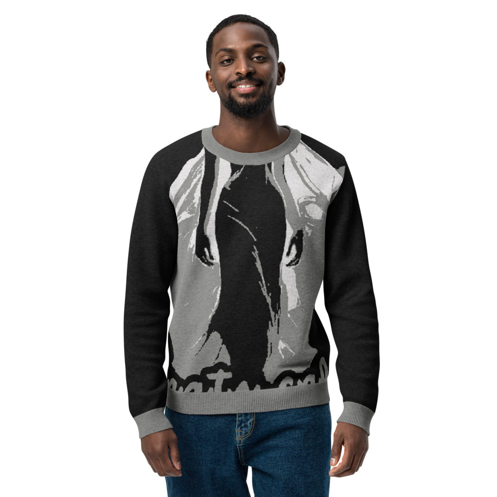 Knitted crew neck sweater