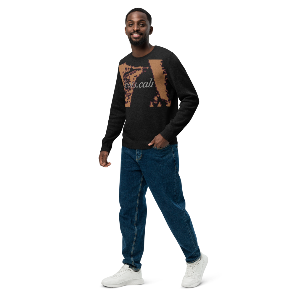 Knitted crew neck sweater