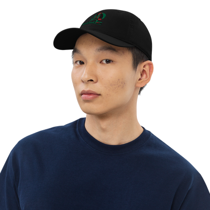 Organic dad hat