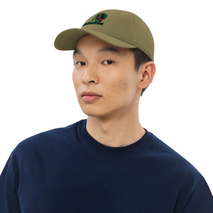 Organic dad hat