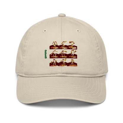 Organic dad hat