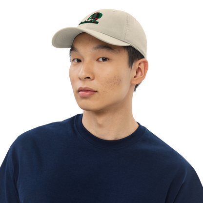 Organic dad hat