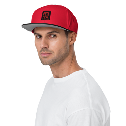 Snapback Hat