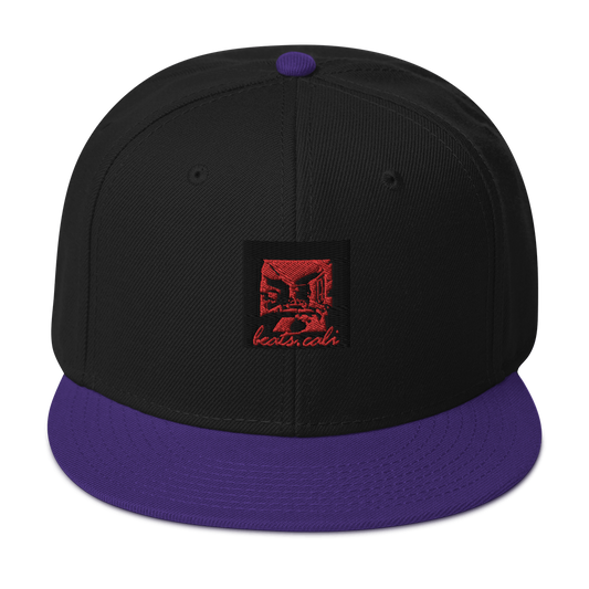 Snapback Hat