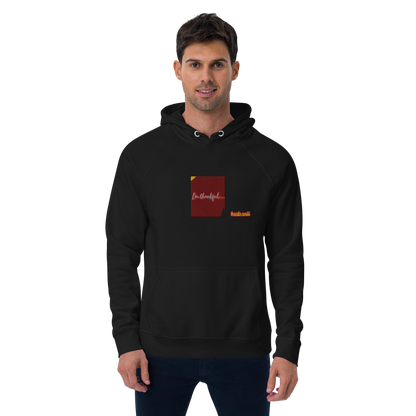 Unisex raglan hoodie
