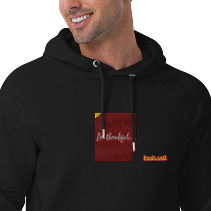 Unisex raglan hoodie