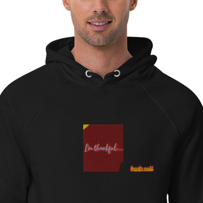 Unisex raglan hoodie