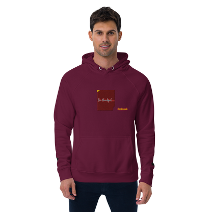Unisex raglan hoodie