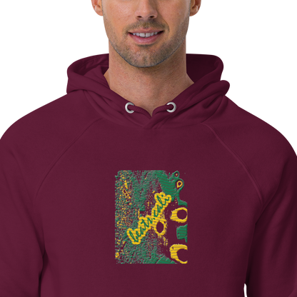 Unisex raglan hoodie