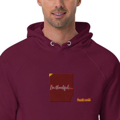 Unisex raglan hoodie