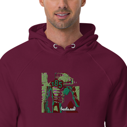 Unisex raglan hoodie
