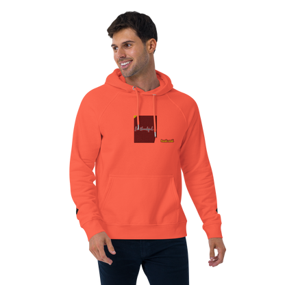 Unisex raglan hoodie