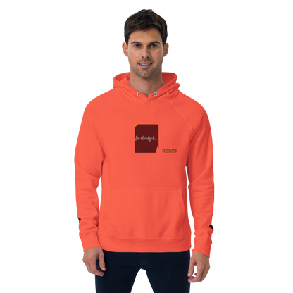 Unisex raglan hoodie
