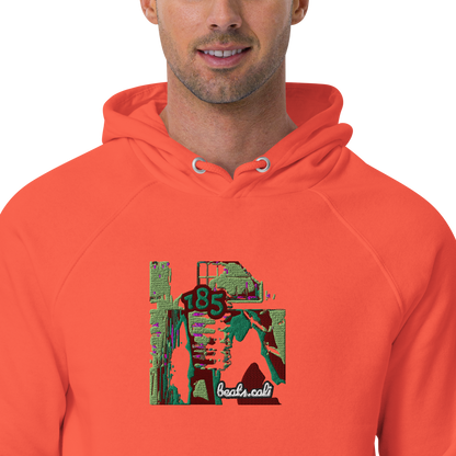 Unisex raglan hoodie