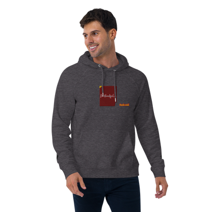 Unisex raglan hoodie